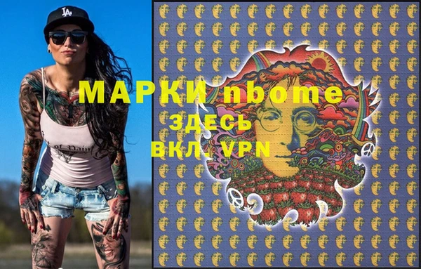 шишки Белокуриха