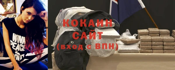 шишки Белокуриха