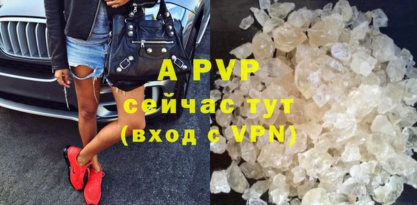 шишки Белокуриха