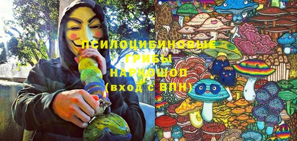 шишки Белокуриха