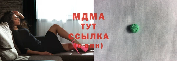 шишки Белокуриха