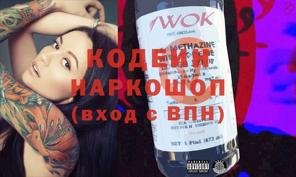 шишки Белокуриха
