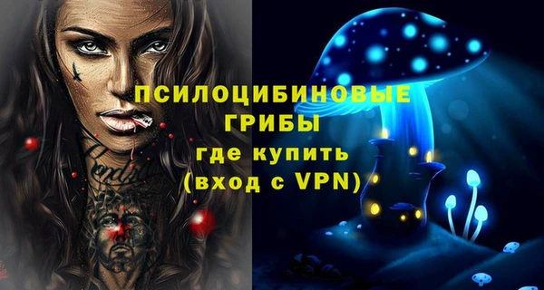 спиды Снежногорск