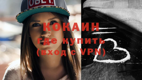шишки Белокуриха