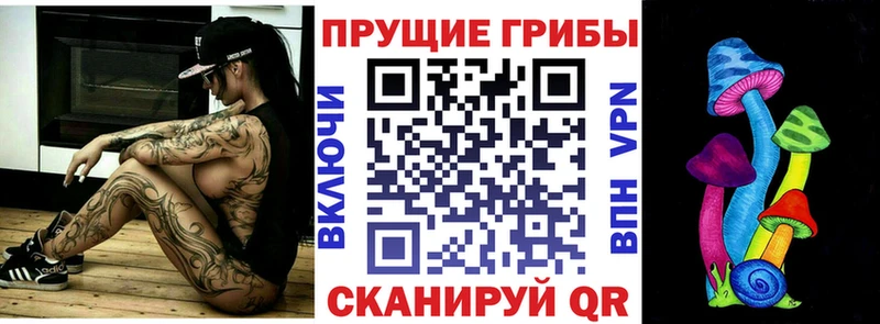 Псилоцибиновые грибы GOLDEN TEACHER  купить наркотики цена  Волосово 